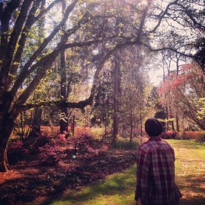 479703_279043742228524_1230816766_n