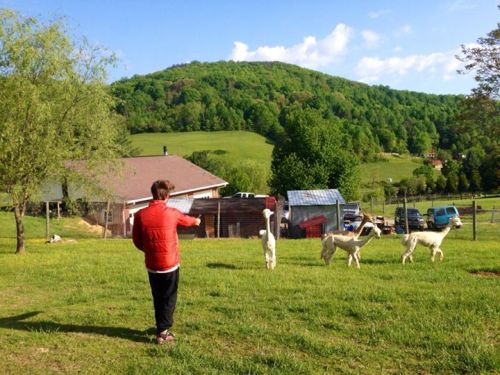 10372103_481282505337979_5112064799053868403_n