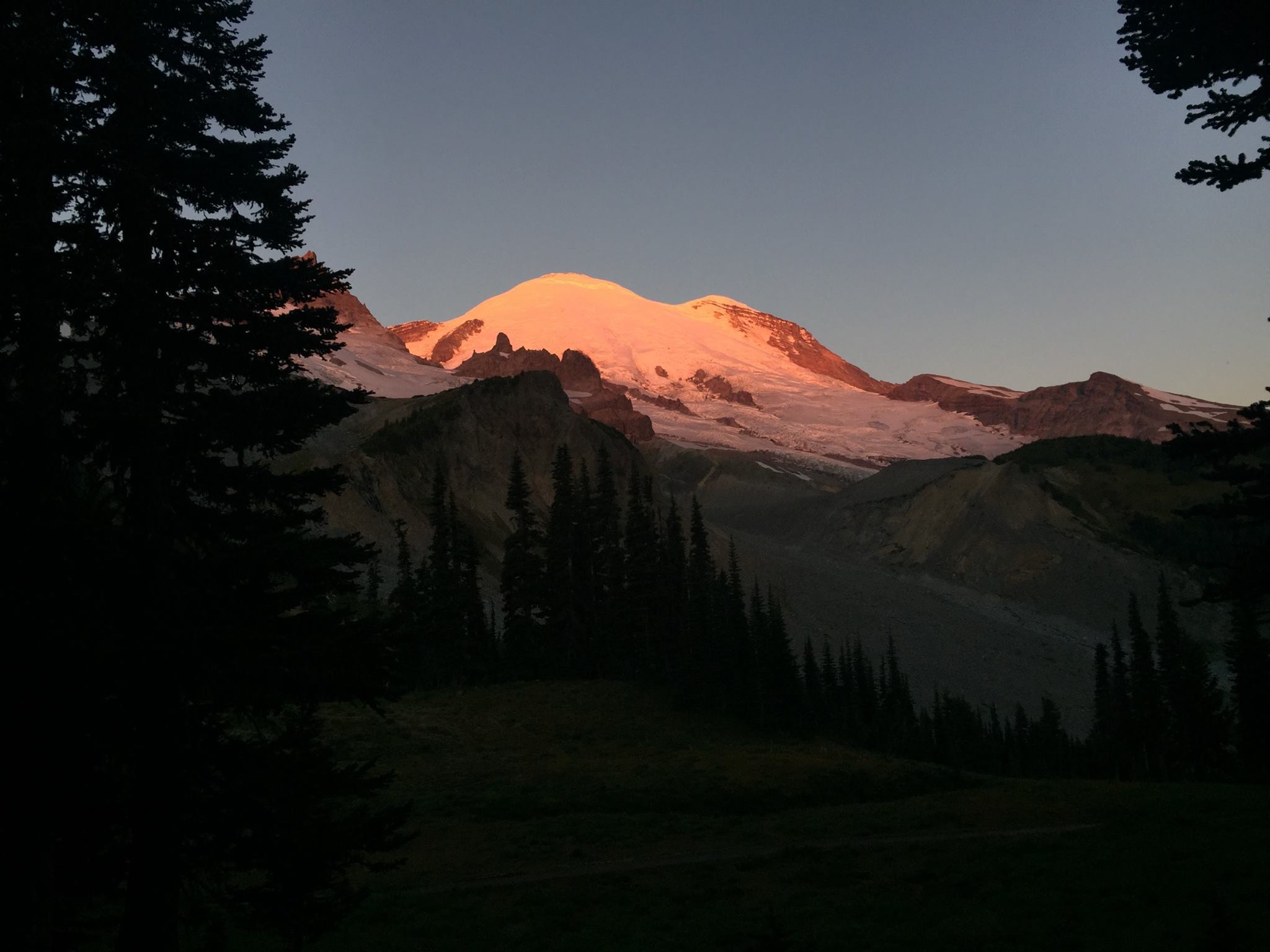 14589589_917597061706519_5564949433328886071_o