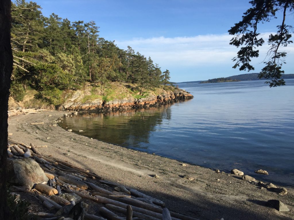 IMG_9667-1-e1526103392650-1024x768