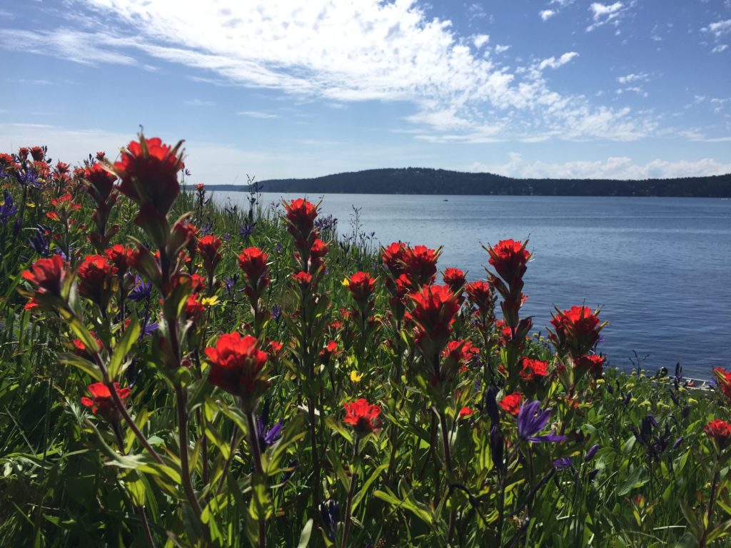 IMG_9847-e1526103892605-1024x768