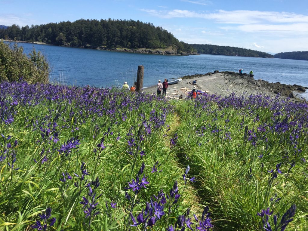 IMG_9899-e1526103571941-1024x768