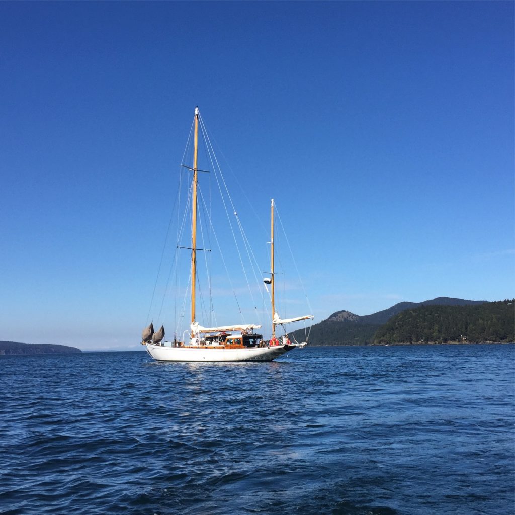 IMG_9920-1-1024x1024