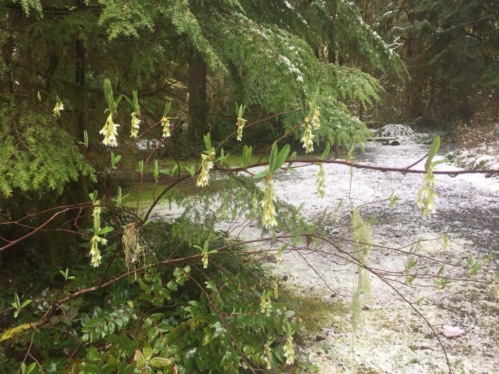 IMG_8850-e1524516125960-1024x768