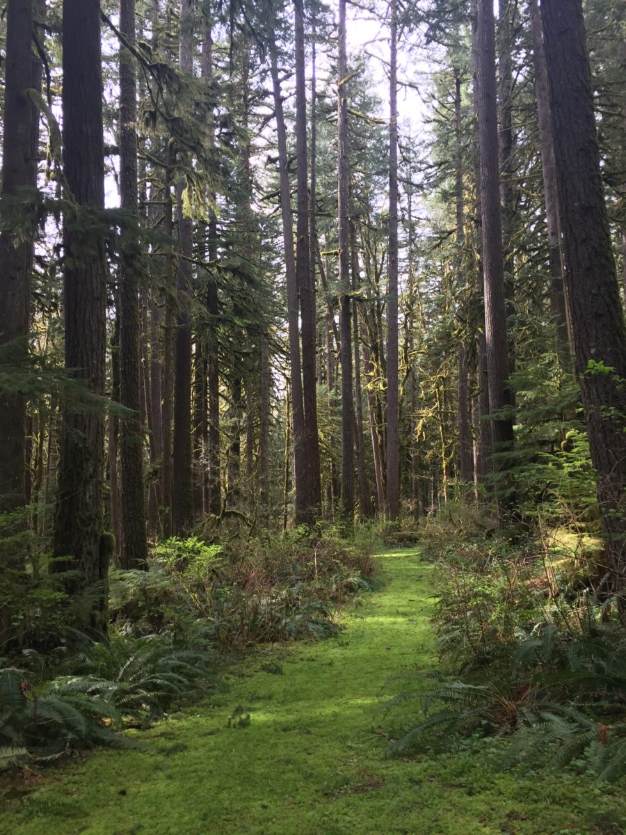 IMG_9275-e1524512677820-900x1200